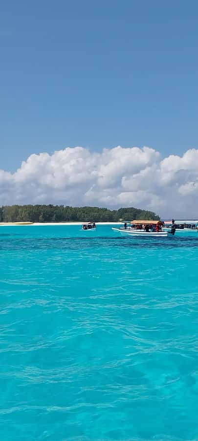 Zanzibar: Mnemba Island Snorkeling & Dolphin - Is $27 a Fair Price?