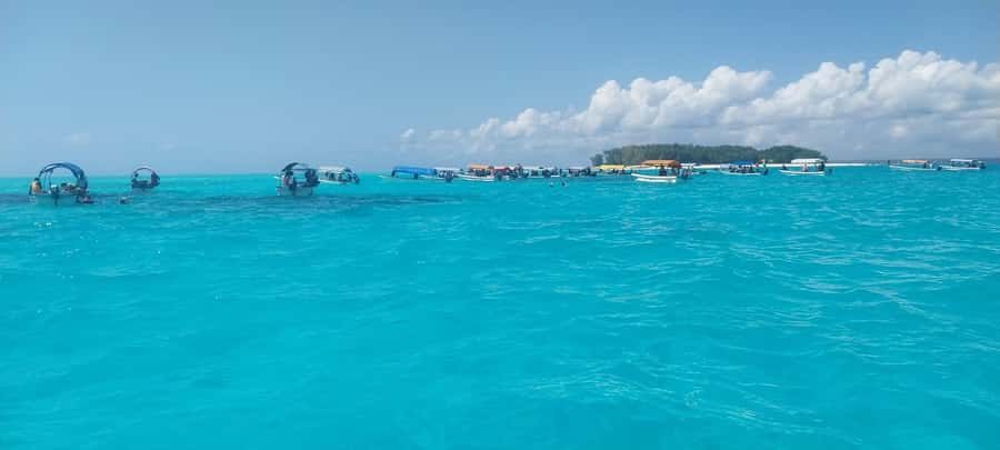 Zanzibar: Mnemba Island Snorkeling & Dolphin - Who Will Enjoy This Mnemba Trip
