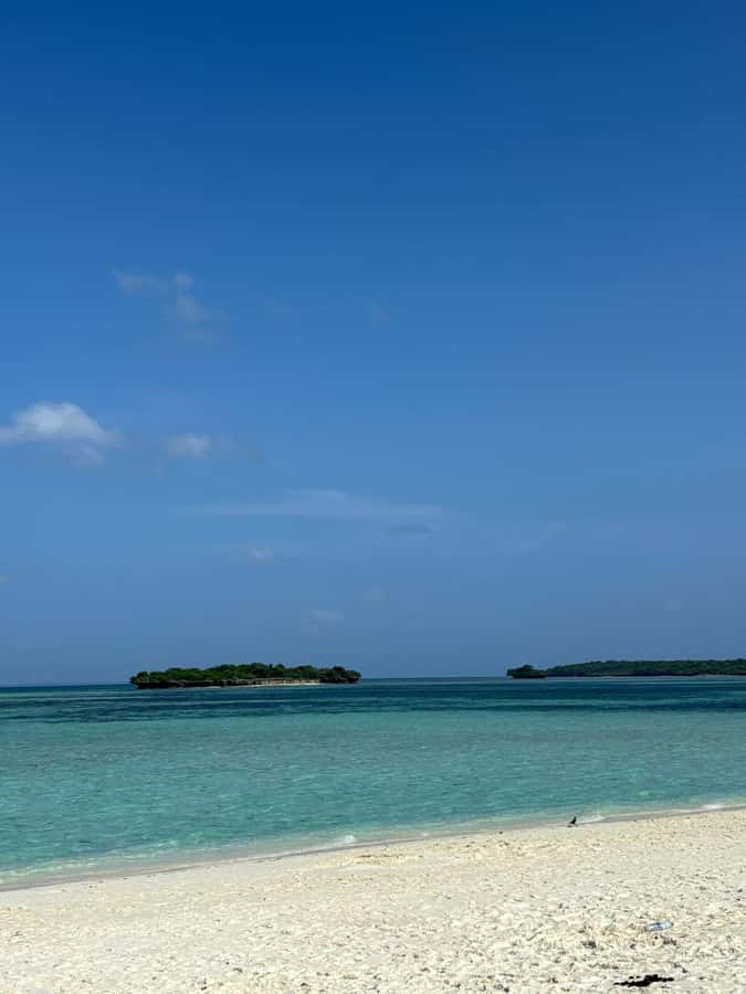 Zanzibar: Pungume island-dolphin watching - BBQ Lunch - Why Pungume Island Makes the Day Special