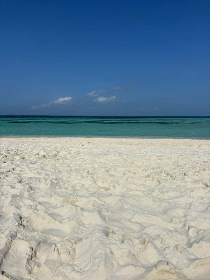 Zanzibar: Pungume island-dolphin watching - BBQ Lunch - Starting From Zanzibar’s Southern Beaches