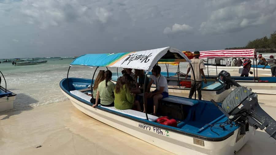 Zanzibar: Pungume island-dolphin watching - BBQ Lunch - Should You Book Pungume Island and Dolphin Watching?