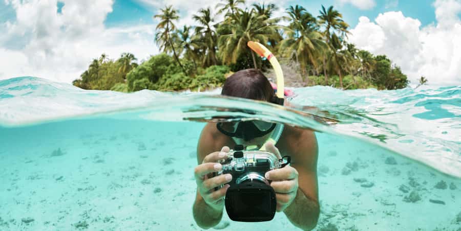 Zanzibar : Swim with dolphin + Snorkel mnemba coral Reef - Key points before you book