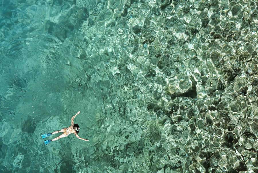 Zanzibar : Swim with dolphin + Snorkel mnemba coral Reef - Seeing Mnemba Island from the water
