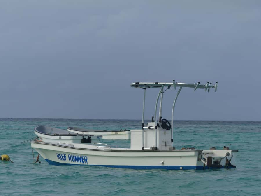 Zanzibar: Swimming with Dolphins and Snorkeling Private Tour - Leaving Zanzibar’s north coast for the open sea